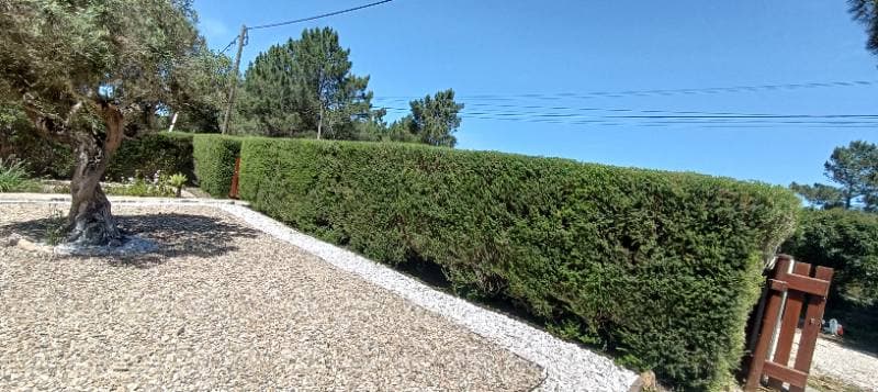 Império Verde Jardins — trabalhos realizados