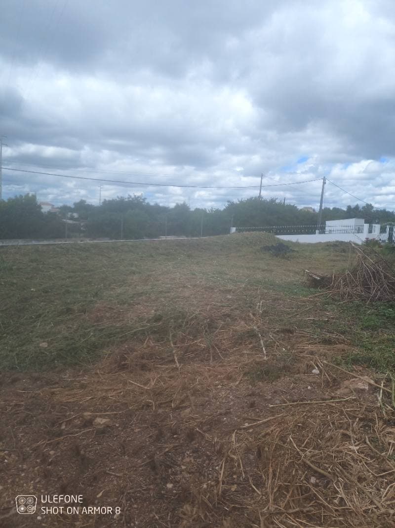Algarve Land Care — trabalhos realizados